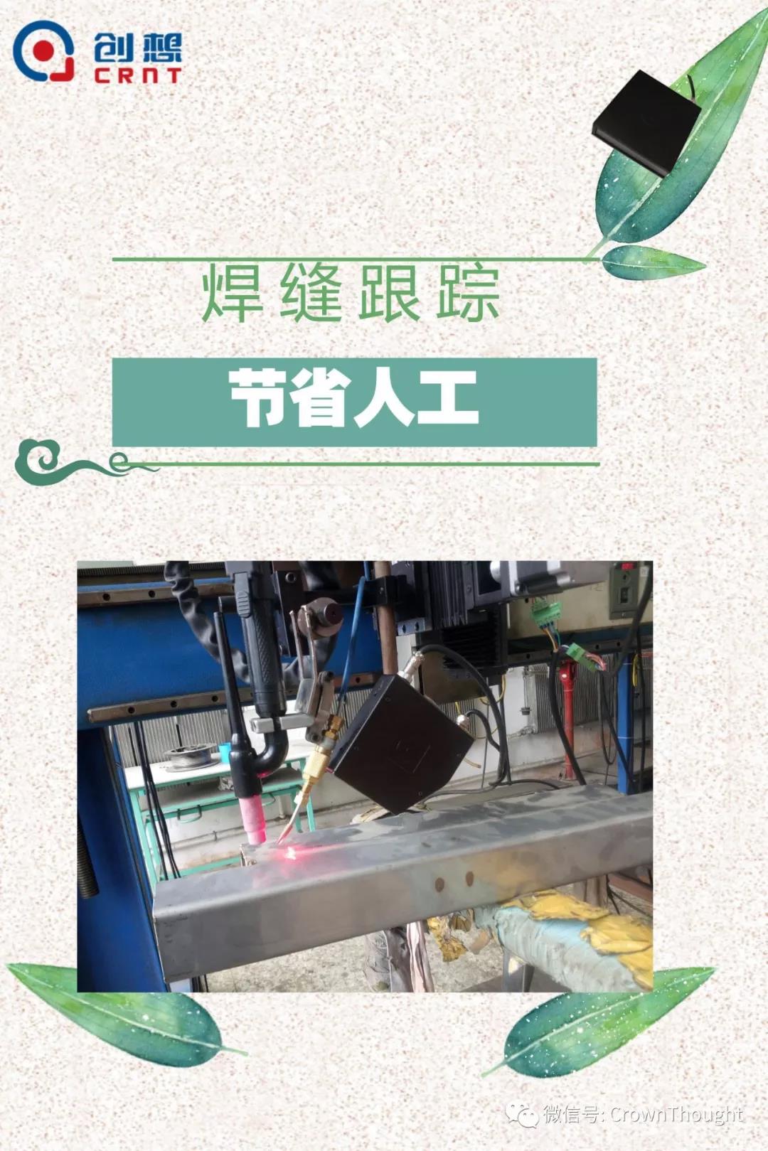 粽葉帶來的不僅僅是粽子，還有...